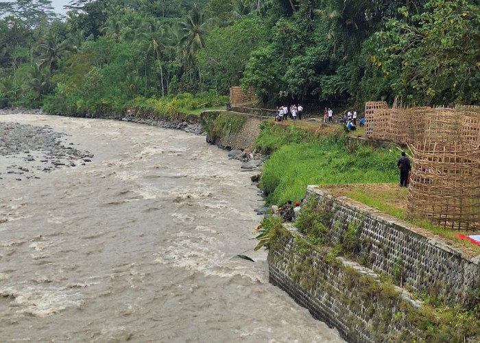 Irigasi Macet Tiga tahun, 480 Hektare Sawah di Banjarnegara Krisis Air