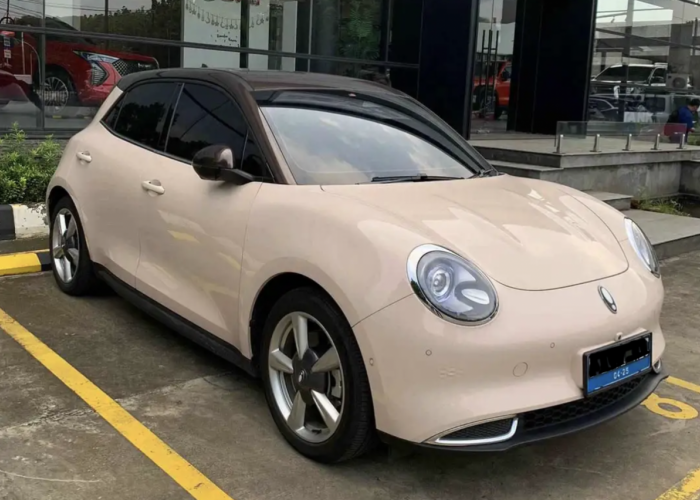 GMW ORA 03 Dijual Dengan Harga Rp300 Jutaan, Jarak Tempuhnya Mencapai 400 Km