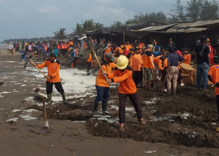 Abrasi di Pesisir Cilacap Makin Parah, BPBD Cilacap Pasang 150 Bronjong Sabut Kelapa di Pantai Bungso 