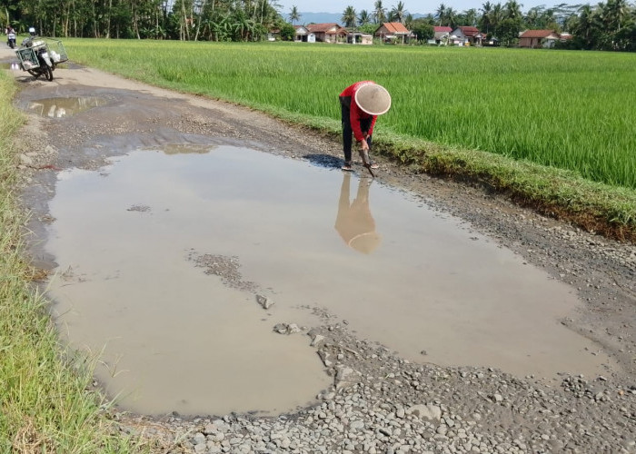 Petani Banyumas Buka Jalur Air di Jalan Rusak, Aksi Mandiri di Lingkar Sumpiuh–Tambak