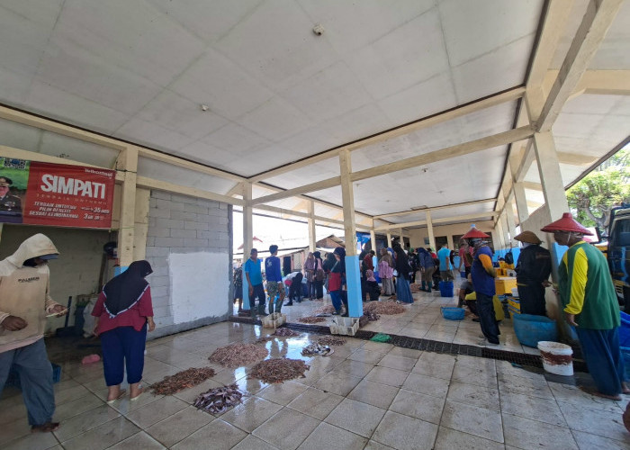 Cilacap Kehilangan Enam TPI, Hanya Dua Tempat Pelelangan Ikan yang Bertahan Aktif