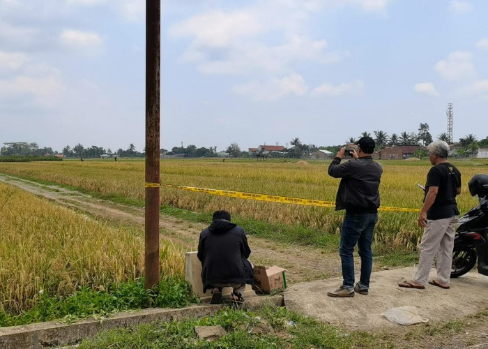 Penemuan Mayat Bersimbah Darah di Sawah Klampok Gegerkan Warga Banjarnegara