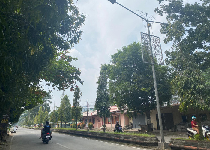 Banyak PJU Tua dan Rusak Butuh Peremajaan, Dinhub: Usainya Sudah Lebih dari 20 Tahun