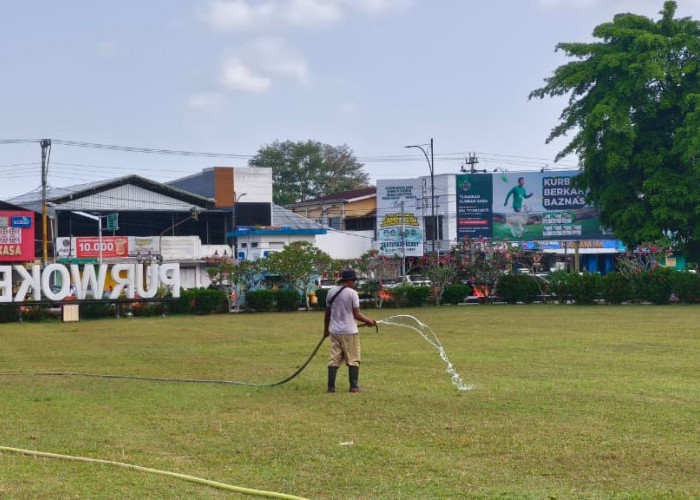 Alun-alun Purwokerto Ditutup Sementara, Rumput Menguning Saat Kemarau