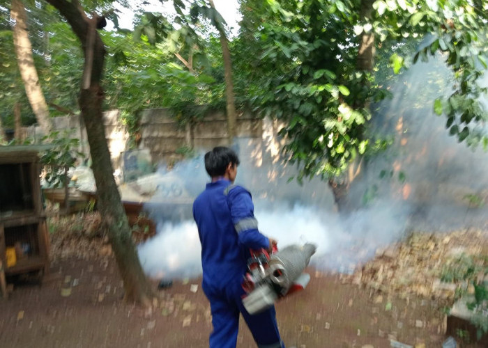Fogging Saja Tidak Cukup, Dinkes Cilacap Imbau Warga Lebih Gencarkan PSN