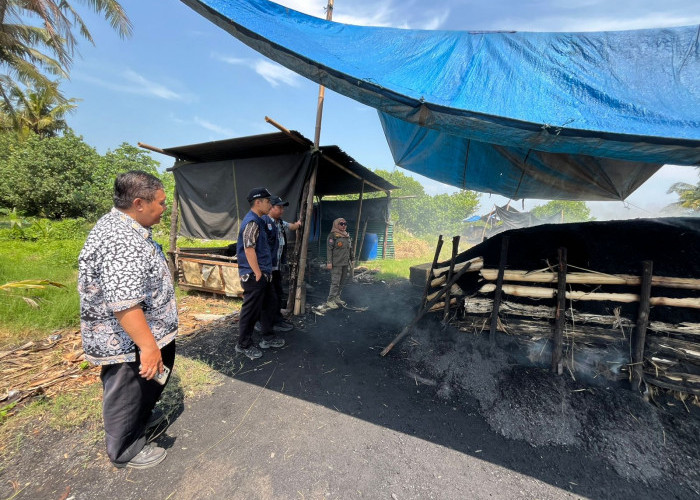 Usaha Arang Bakau di Donan Cilacap Diduga Cemari Udara