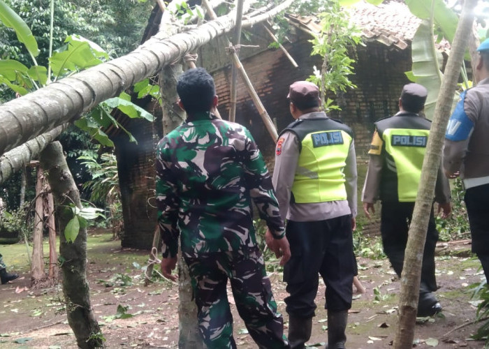 Pohon Tumbang Timpa Atap Warga Buluspesantren