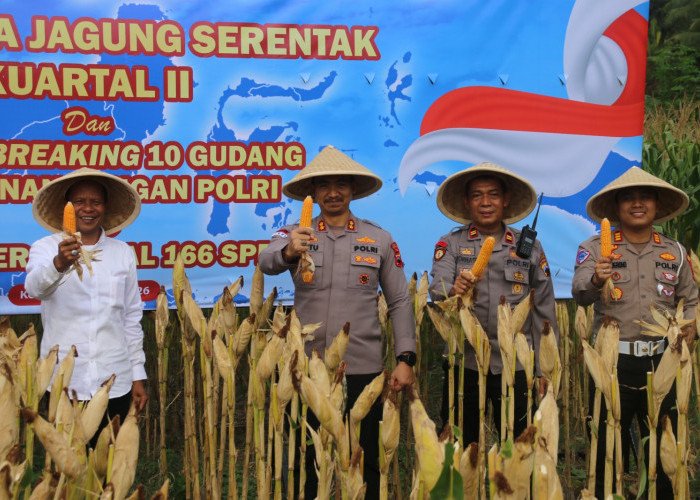 Polres Kebumen Panen 0,42 Ton Jagung