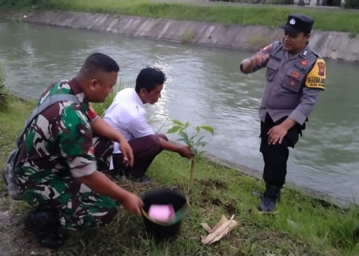 Ribuan Pohon Hijaukan Jlegiwinangun