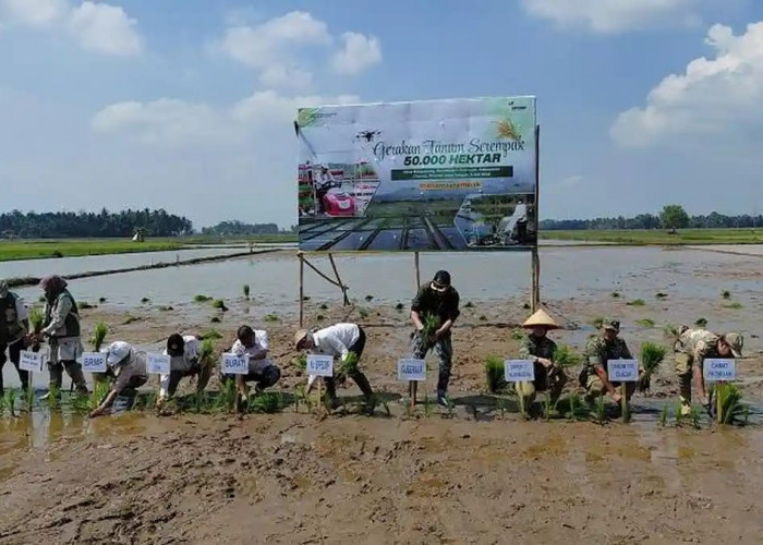 Cilacap Jadi Pusat Gerakan Tanam Serempak Nasional