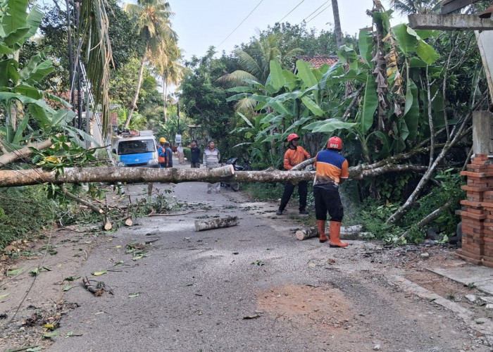 Lansia Selamat dari Bencana Angin Kencang