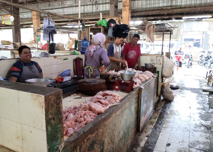Harga Daging Ayam di Purbalingga Kembali Naik
