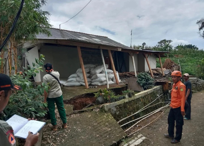 Pergerakan Tanah di Banjarnegara, Puluhan Rumah dan Infrastruktur Terdampak