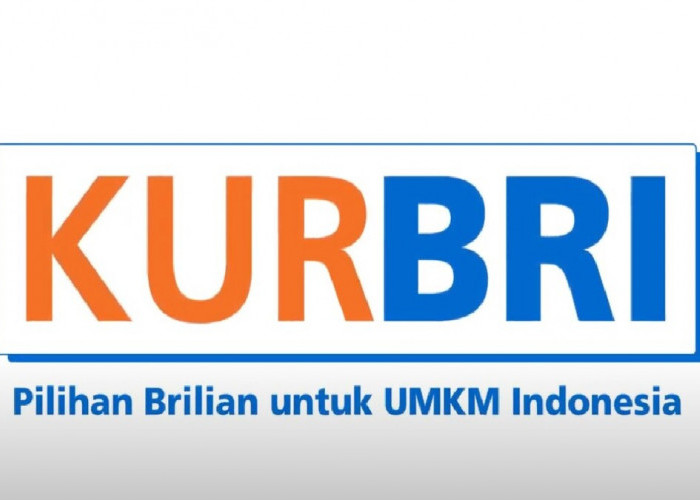 UMKM Wajib Tahu! KUR BRI 2025 Bisa Bantu Usaha Kamu Makin Cuan