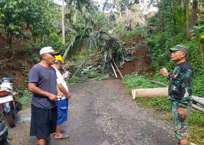 Tebing 13 Meter di Masaran Longsor, Akses Jalan Warga Tertutup 