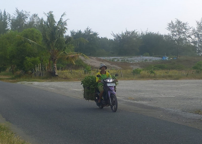 BRIN Harap Masyarakat tak Ubah Bentang Alam Gumuk Pasir Kebumen