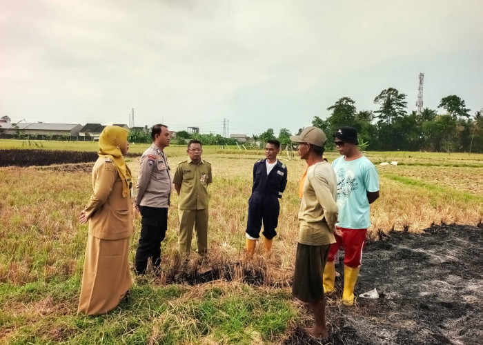 Musim Kemarau, Warga Cilacap Diingatkan Waspada Kebakaran Lahan
