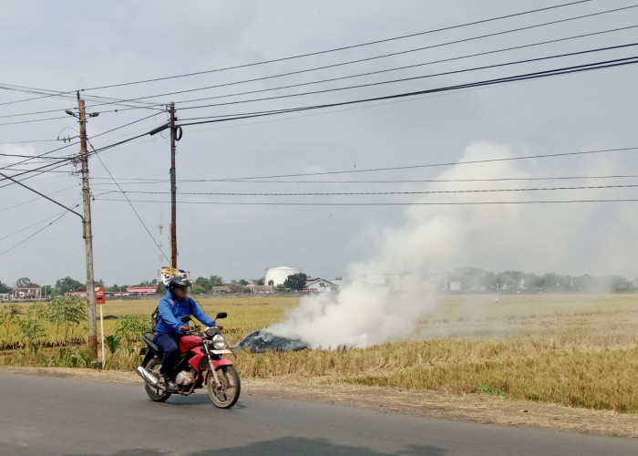 Kemarau Panjang, Warga Cilacap Diminta Cegah Kebakaran Lahan