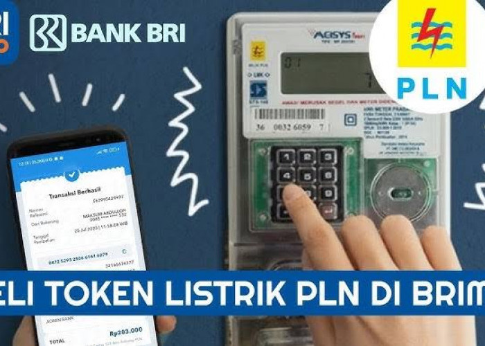Solusi Cerdas Ibu Rumah Tangga: Beli Token Listrik Praktis dengan BRImo