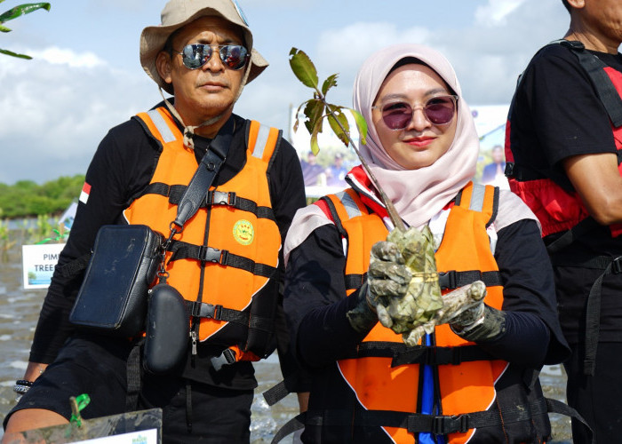 Tanam Mangrove Serentak Mageri Segoro, Kilang Cilacap Kenalkan Polybag Ramah Lingkungan