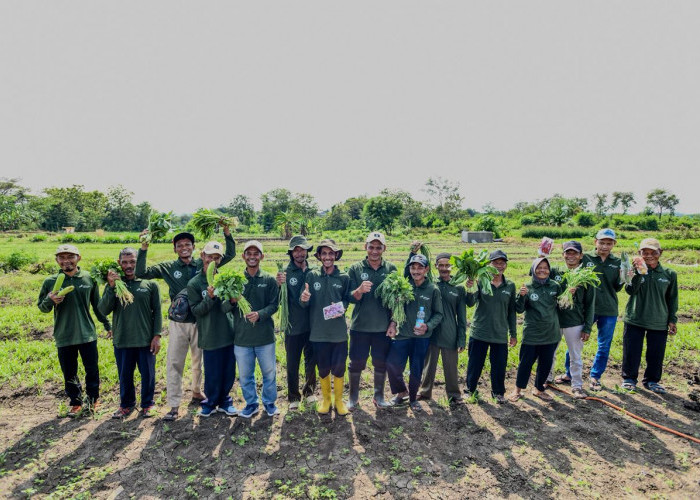 Inovasi di Tengah Kemarau, Pertamina Tanam Harapan Bersama Petani Desa Sobokerto