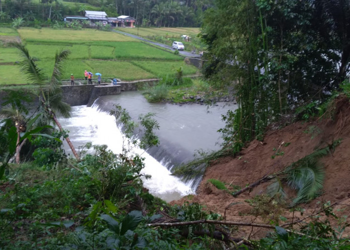 Hujan Deras, Talud Sayap Bendung Sungai Laban di Bungkanel Longsor 