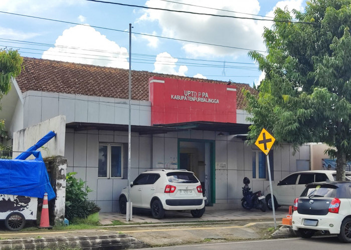 Miris, UPTD PPA Temukan Anak Trauma dan Dua Bocah Diduga Ditelantarkan Tiga Tahun di Bojongsari