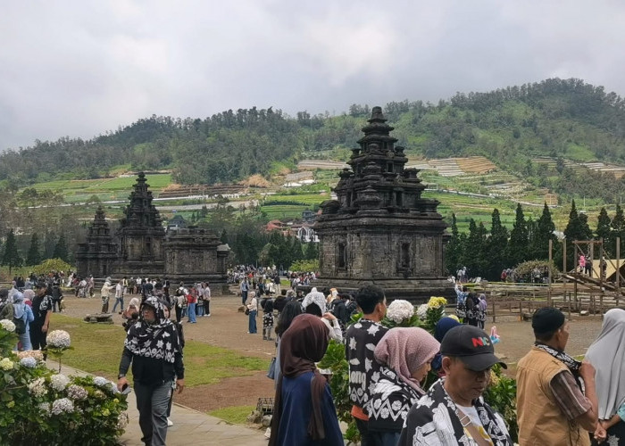 Wisata Dieng Membludak Saat Libur Lebaran 2026, Pengunjung Tembus 12 Ribu