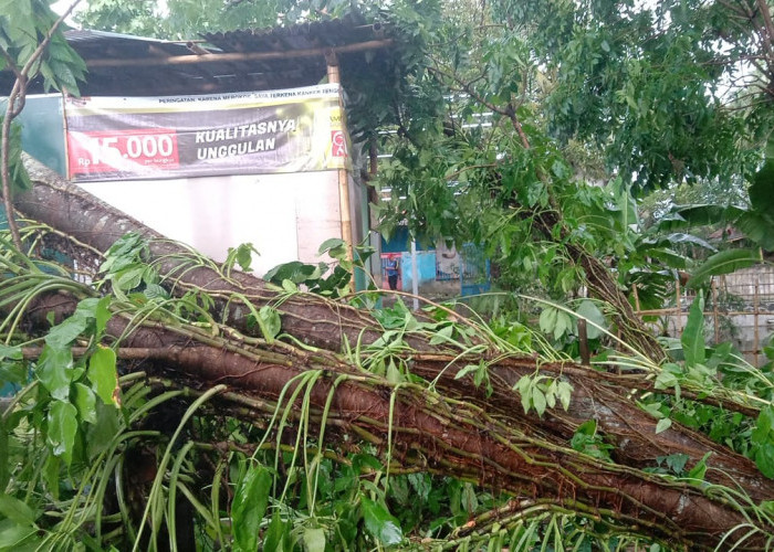 Dampak Angin Kencang Terjang Tiga Kecamatan di Banyumas, Puluhan Rumah Rusak dan Akses Jalan Sempat Terganggu