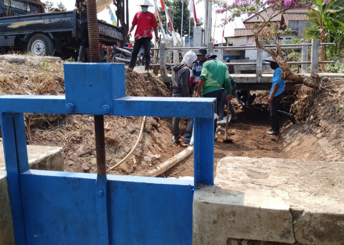 Irigasi Gumelar Lor Banyumas Mengering, UPTD PU Bersihkan Sedimen