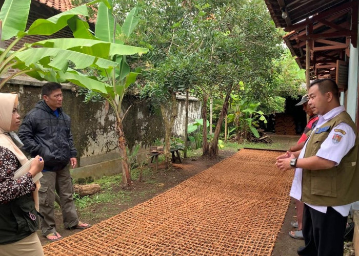 Penggunaan Anyaman Sabut Kelapa Untuk Tanggul Penahan Longsor di Cilacap, Jadi Percontohan Kabupaten Lain