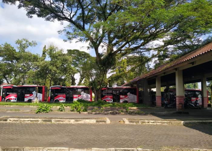 Koridor Terminal Bulupitu - Alun-Alun Banyumas Banyumas Aktif 1 Januari