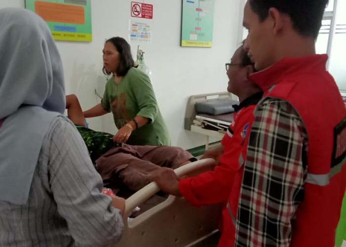 Bakar Sarang Tawon Vespa, Warga Desa Mujur, Cilacap Tersengat Puluhan Tawon Hingga Dilarikan ke Klinik