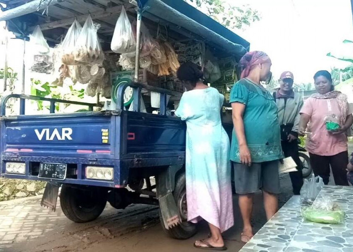 5 Keunggulan Motor Murah Tossa yang Menjadi Andalan untuk Berjualan Sayur