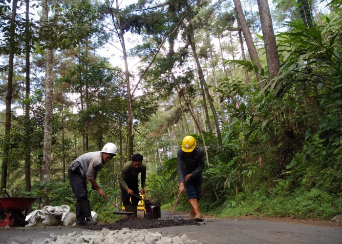 Ada Lebih dari 50 Titik Aspal Berlubang, Penanganan Kerusakan Ruas Jalan Kamulyan-Watuagung Diprioritaskan