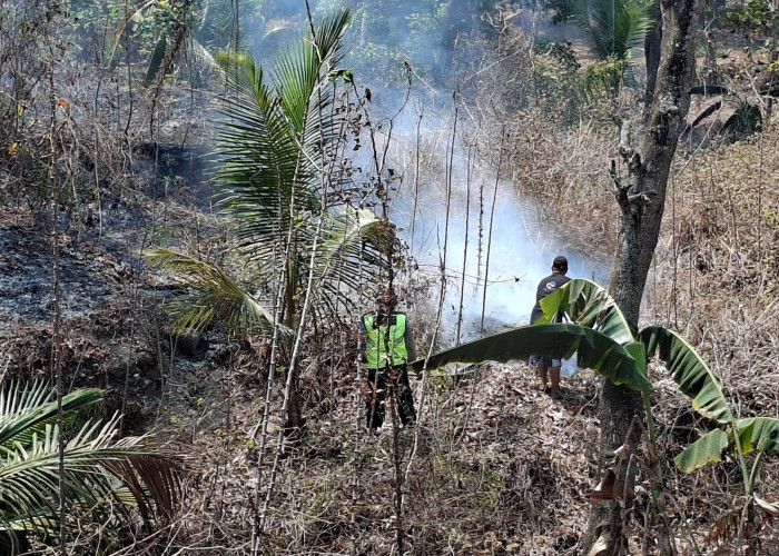 Sehari, Dua Kebakaran Lahan Kembali Terjadi  di Kebumen