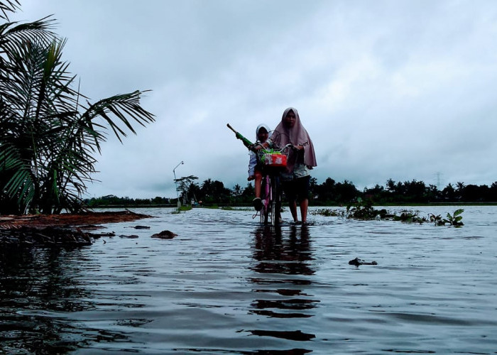 Hujan Dua Hari, Gerumbul Nusapule, Desa Nusadadi Tergenang Air