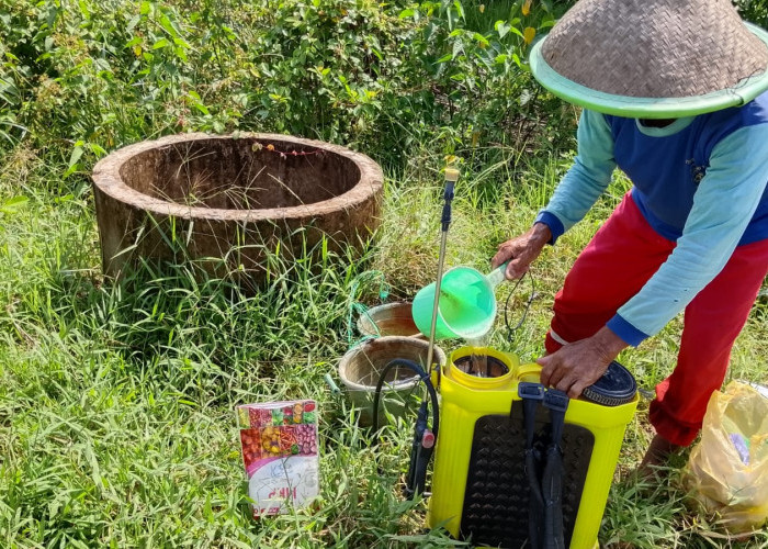 Harga Pupuk di Banyumas Naik 30 Persen, Dampak Geopolitik Tekan Petani Muda