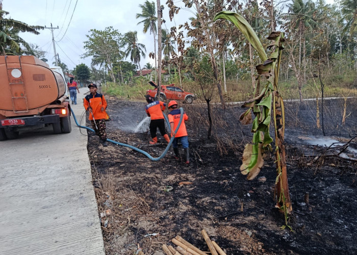 Lahan Seluas 0,4 Hektare di Jeruklegi Cilacap Terbakar, Penyebab Belum Diketahui