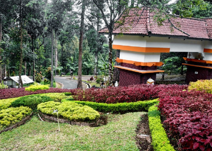 Hobi Fotografi? Panorama Hijau di Kebun Raya Baturraden Bisa Jadi Spot Terbaik