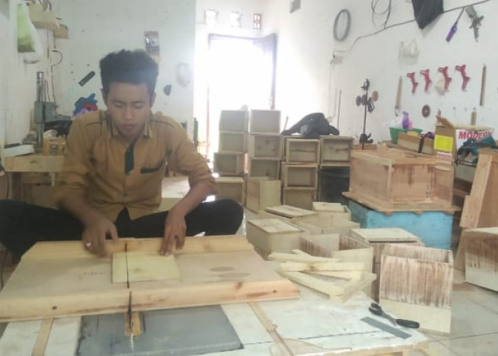 Musim Hujan, Saatnya Peternak Lebah Siapkan Kotak Jebakan