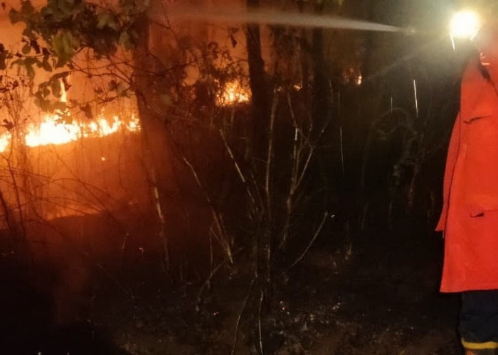 Karhutla Banyumas Tembus 59 Kejadian, Luas Lahan Terbakar Capai 55,5 Hektare