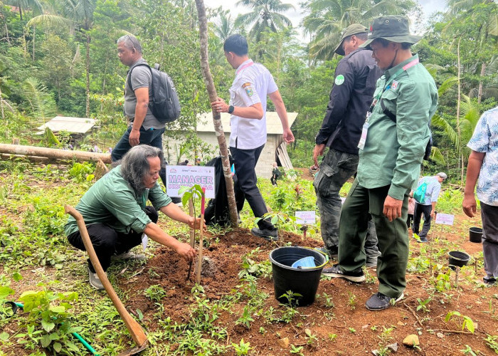 Kostajasa Tanam 30 Ribu Bibit