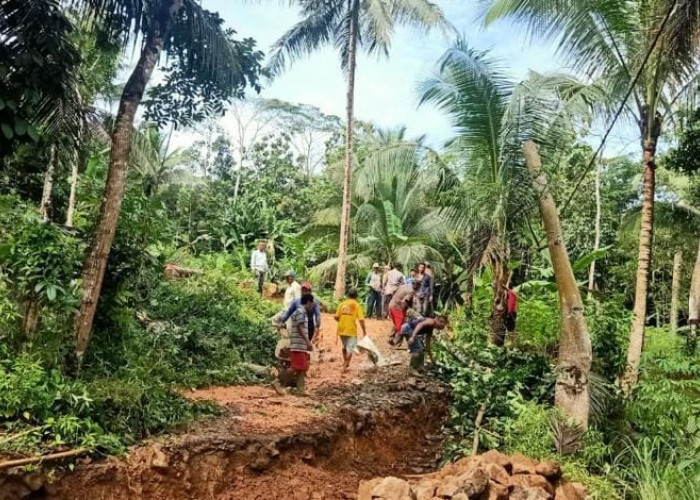 Ada 16 Kecamatan di Kabupaten Cilacap Potensi Bencana Tanah Bergerak  
