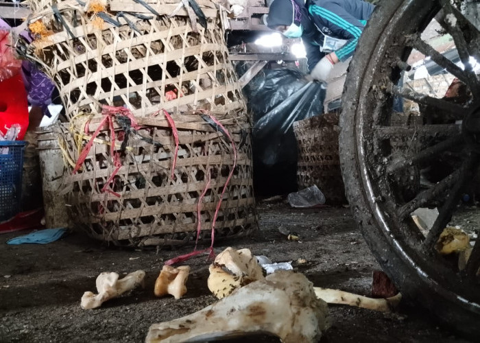 Sampah Tulang Ancam Ganggu Operasional TPST Sumpiuh Banyumas, Diprediksi Meningkat di Hari Ketiga Idul Adha
