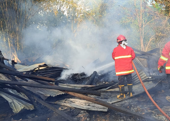 Diduga Akibat ODGJ Membakar Sampah, Gudang Pengolahan Kayu Ludes Terbakar