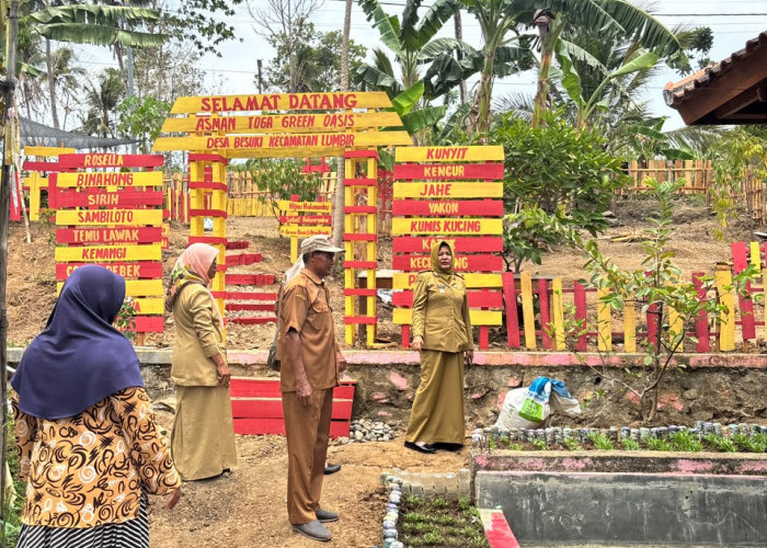 Warga Besuki Lumbir Rawat Tanaman Obat Mandiri, Jamu dan Pupuk Organik Diolah dari Bahan Alami