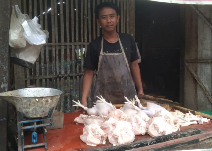 Harga Daging Ayam Ras di Majenang Tinggi