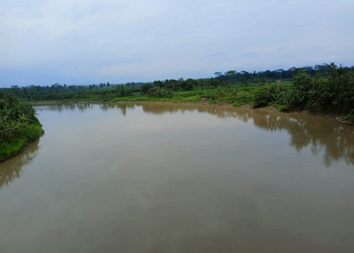 Lingkungan Sungai di Purbalingga Rusak! Ini Penyebabnya