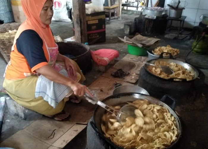  Rambah Digital, Pelaku UMKM Masih Kesulitan